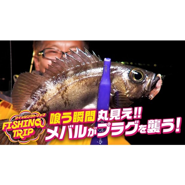 海太郎 ネコメタル 2g